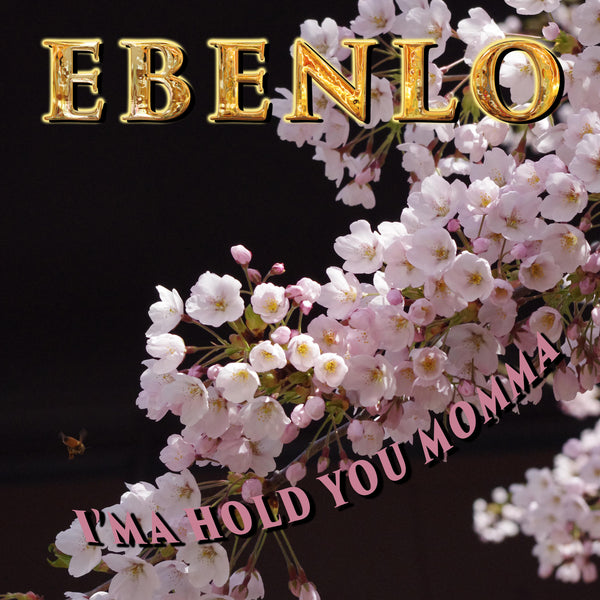 "I'ma Hold You Momma" Song MP3 by EBENLO
