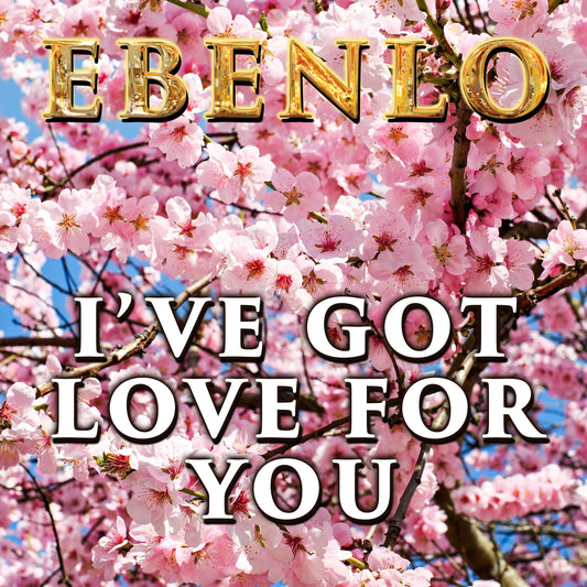 "I've Got Love For You" Song MP3 by EBENLO